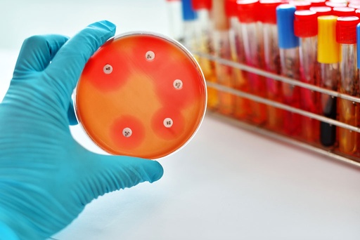 Antimicrobial Susceptibility